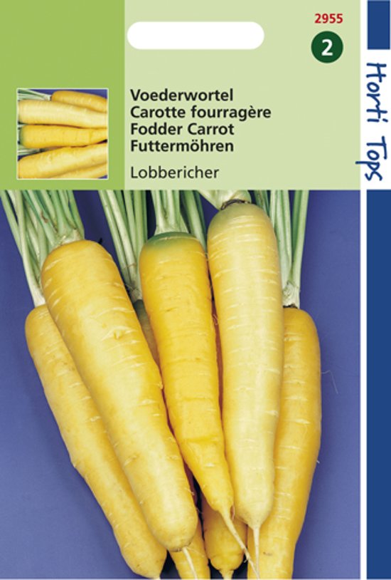 Fodder Carrot Lobbericher (Daucus) 5000 seeds